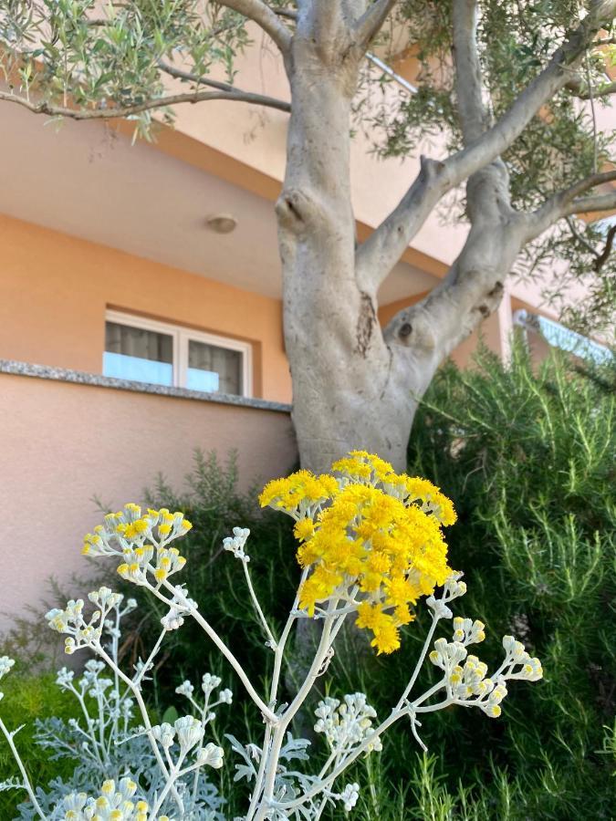 Apartments Ivana Зубовичи Экстерьер фото